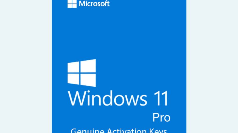 Windows 11 Professional | Digital License Key | Online Activation - Authentic WP