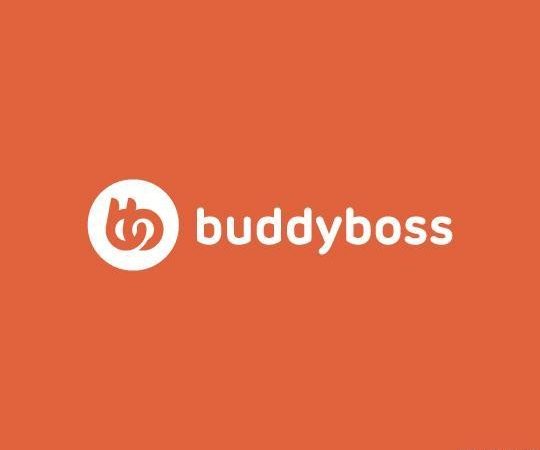 BuddyBoss Theme v1.5.6 - Authentic WP