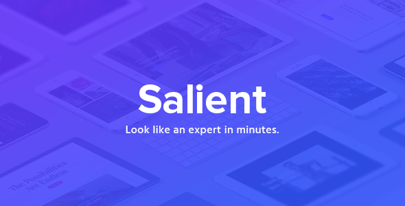 Salient - Responsive Multi-Purpose Themes v16.4.0 - Authentic WP