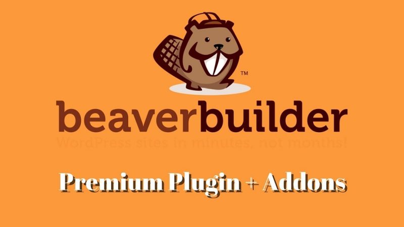 Beaver Builder - Drag & Drop Page Builder (Pro) v2.8.3.4 - Authentic WP