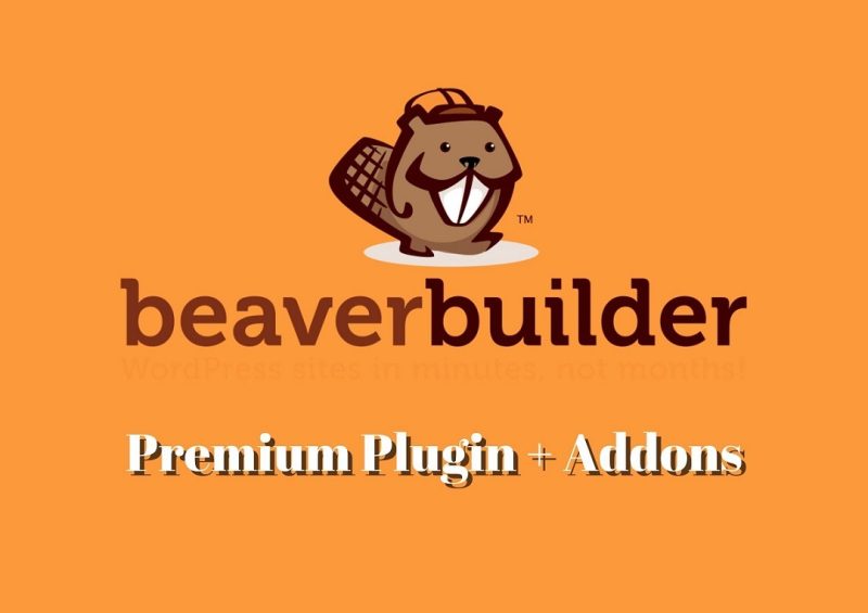 Beaver Builder - Drag & Drop Page Builder (Pro) v2.8.3.4 - Authentic WP