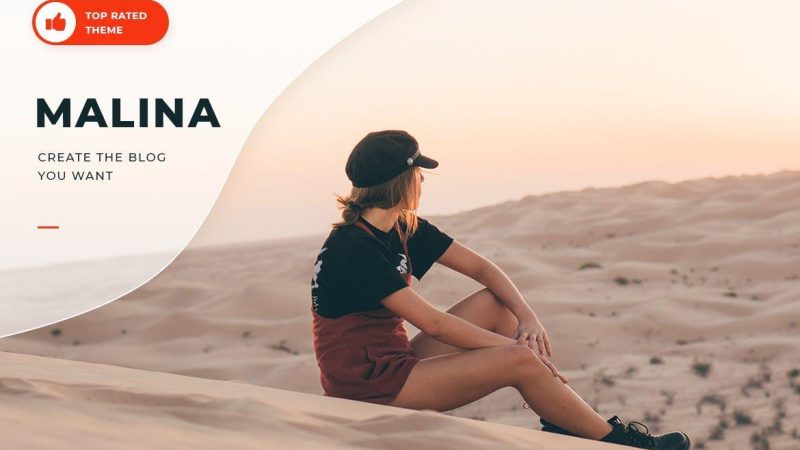 Malina v1.9.3 - Personal WordPress Blog Theme