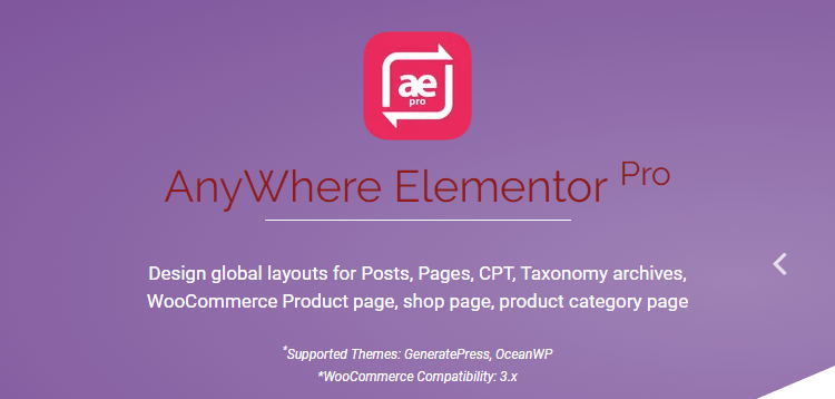 AnyWhere Elementor Pro v2.25.10